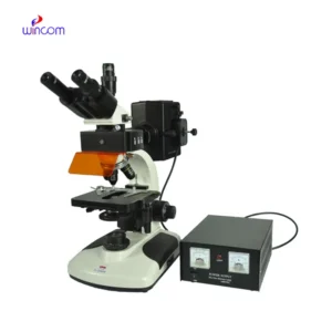 Fluorescent Microscope MCS-FL2002H